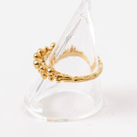 Bubble ring